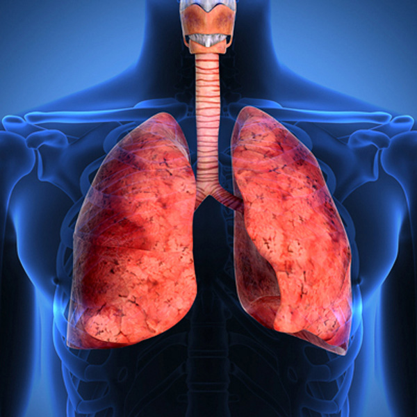 A intervenção do Serviço Social na Fibrose Cística