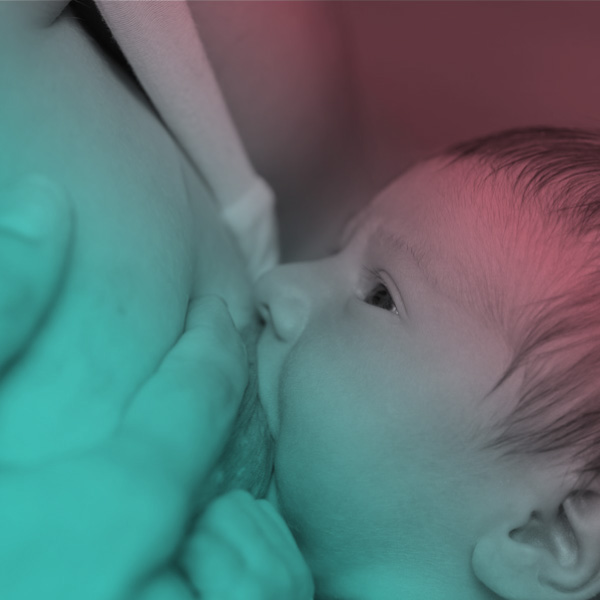 Consulta de enfermagem à mulher, à criança e à família em processo de amamentação