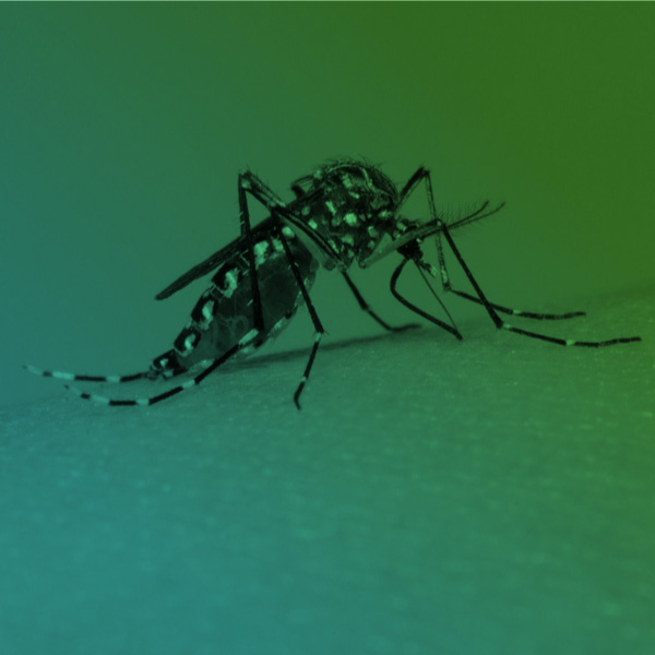 Comorbidades em Febres Hemorrágicas