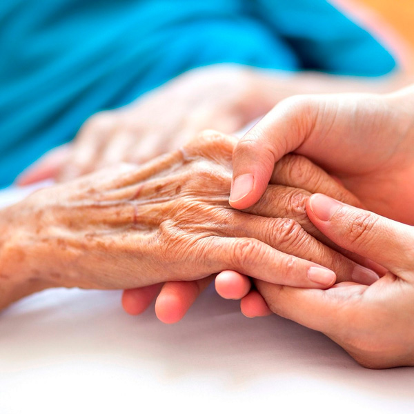 Leia mais sobre o artigo Fórum sobre Proteção e Prevenção de Violência contra a Pessoa Idosa