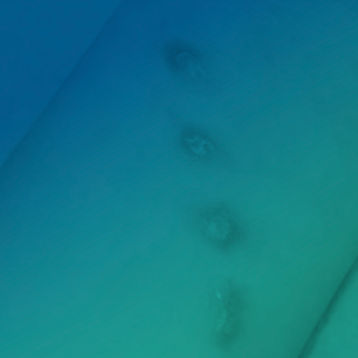 Esporotricose na APS