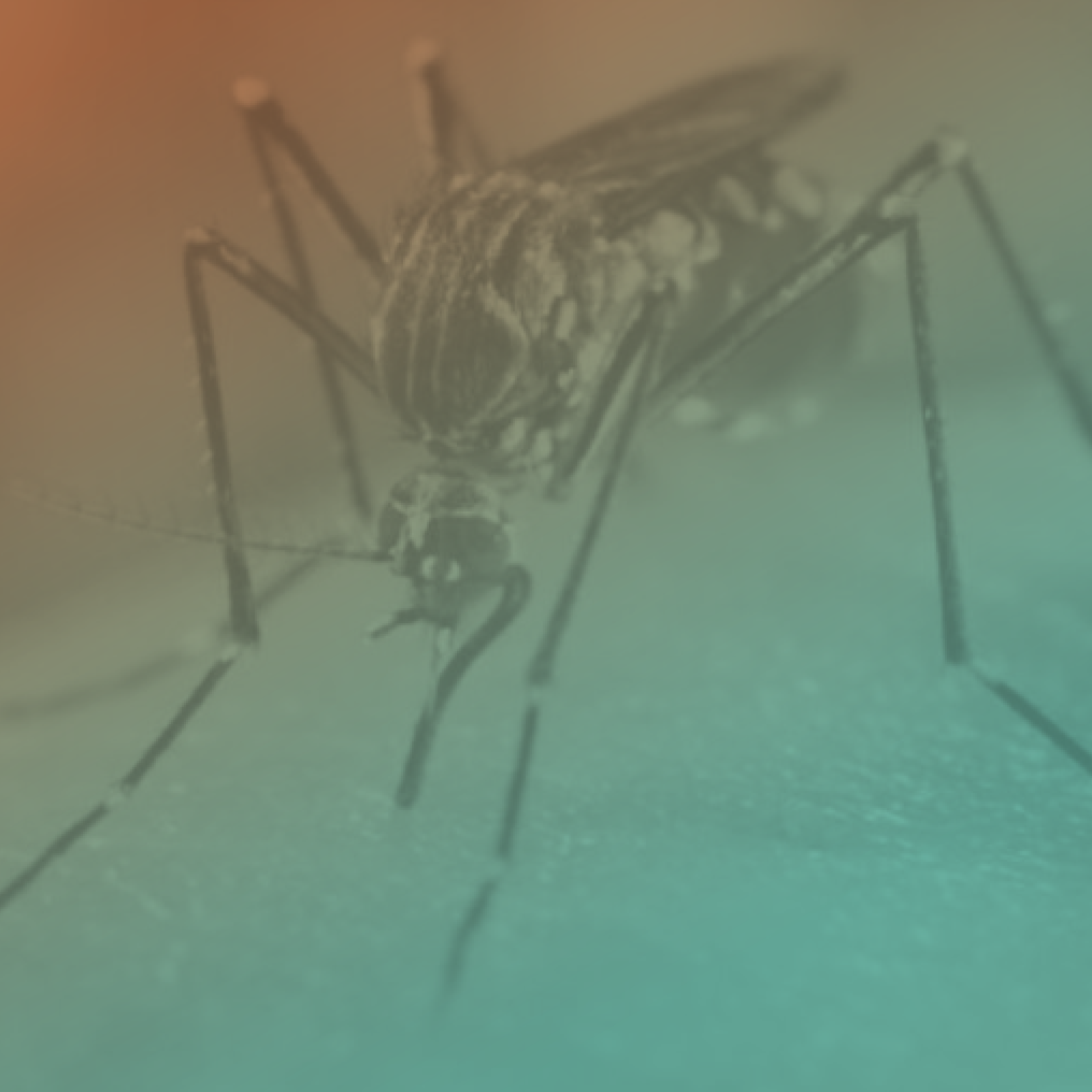 ADIADA: Manifestações Crônicas das Arboviroses - Chikungunya