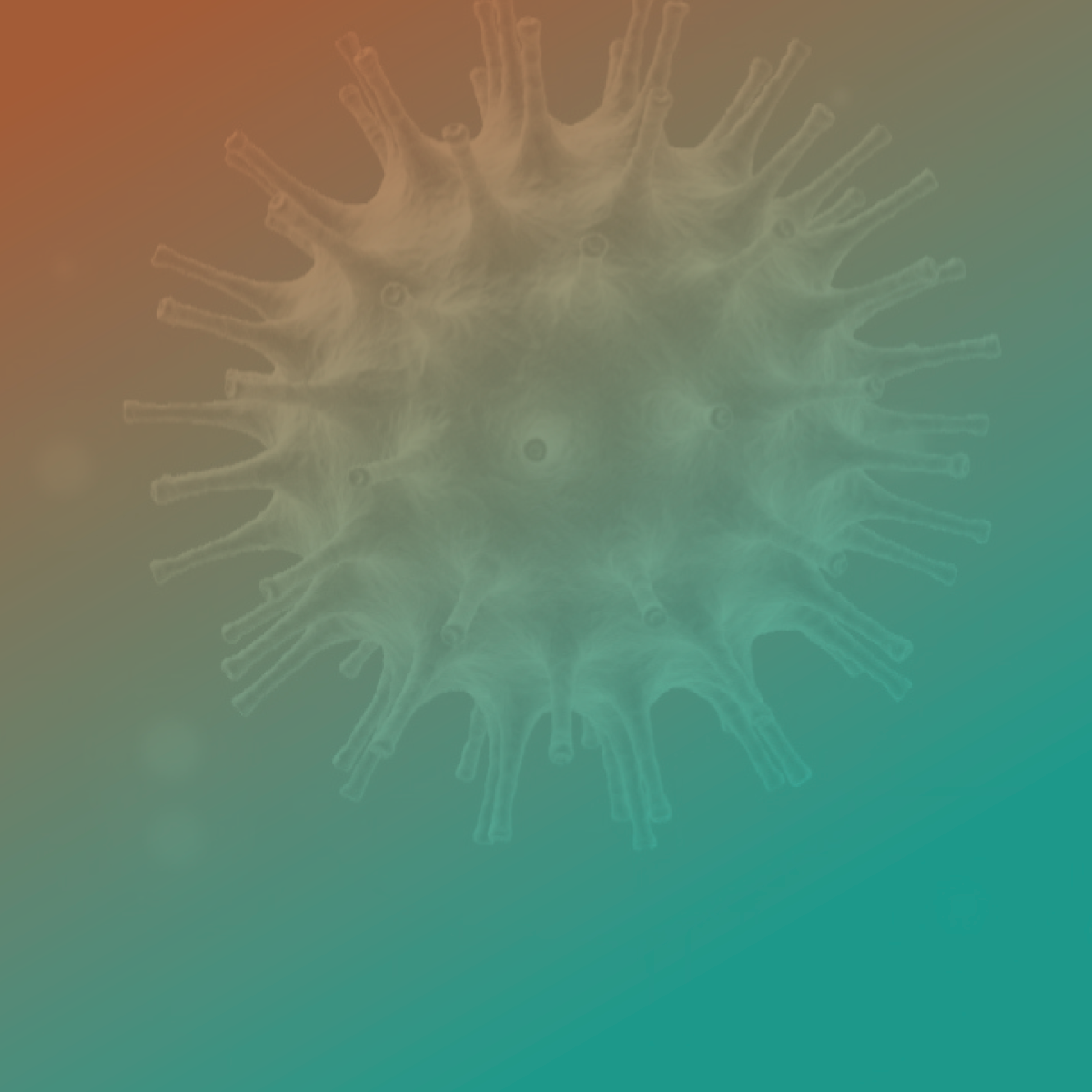 Covid-19: Atenção Primária e os cuidados com seu território