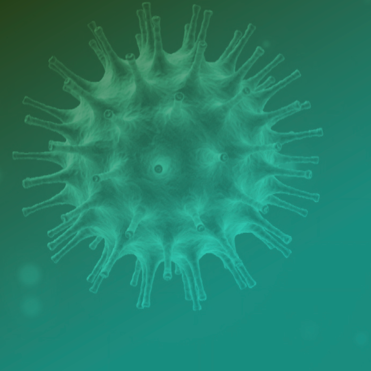 Recomendações para Ressuscitação Cardiopulmonar (RCP) de pacientes com diagnóstico ou suspeita de COVID-19