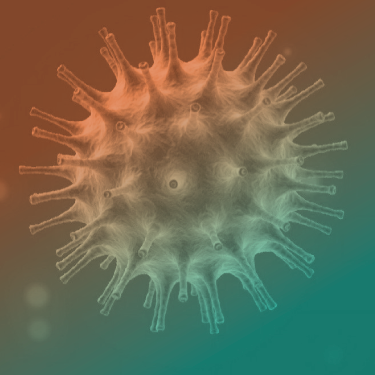 PIC’s - Como a Ayurveda (medicina tradicional indiana) pode ajudar em tempos de pandemia?