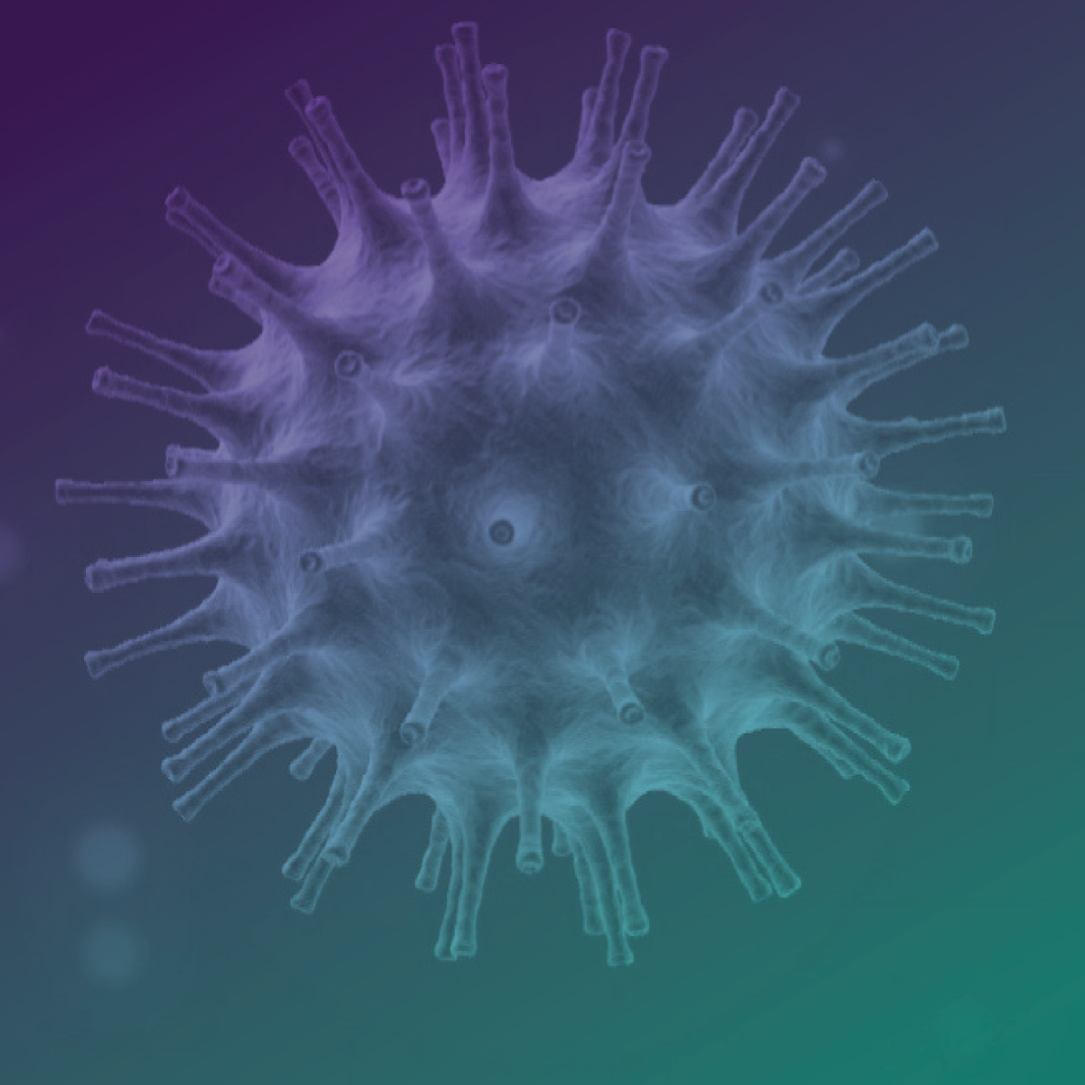 A educação em saúde: orientando famílias com crianças com o Transtorno do Espectro Autista no contexto da Covid-19